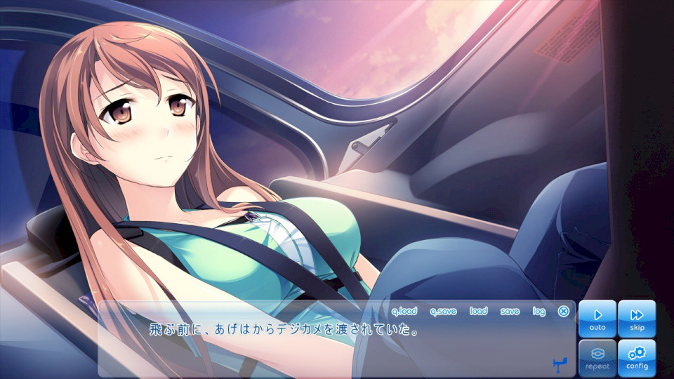 在这苍穹展翅 この大空に、翼をひろげて[PC][汉化]-Thvse免费资源站