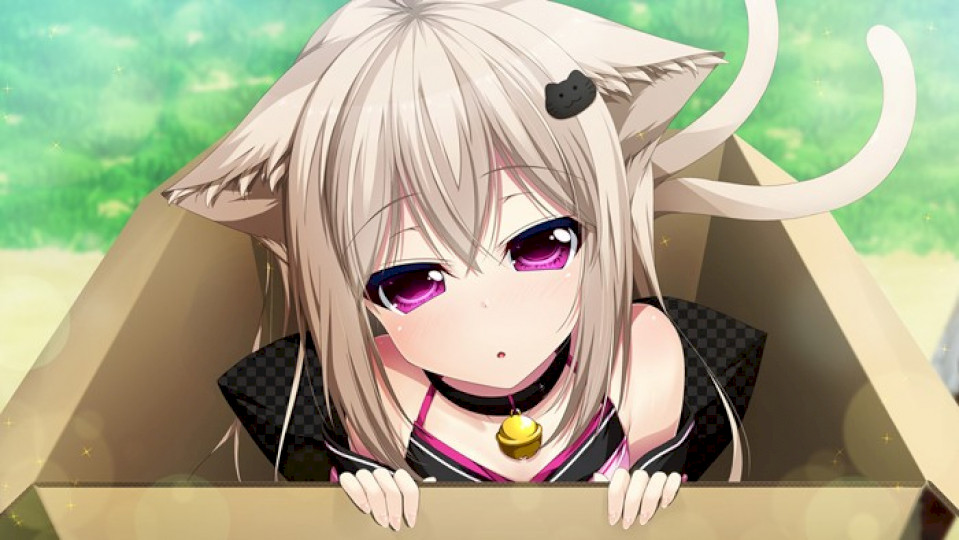 家有仙妻～无名小猫又与神Tuber～ 家神女房～名無し猫又は神Tuber～[汉化][PC]-Thvse免费资源站