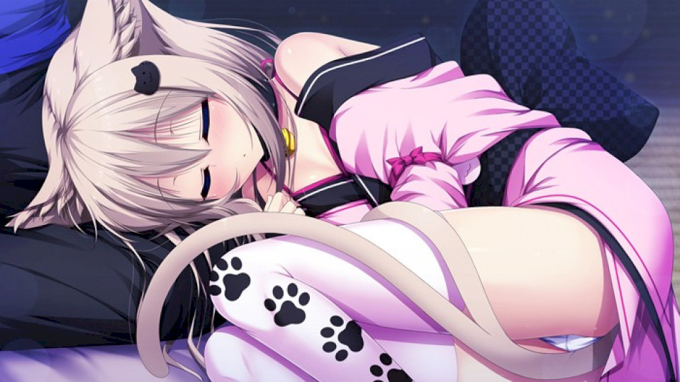 家有仙妻～无名小猫又与神Tuber～ 家神女房～名無し猫又は神Tuber～[汉化][PC]-Thvse免费资源站