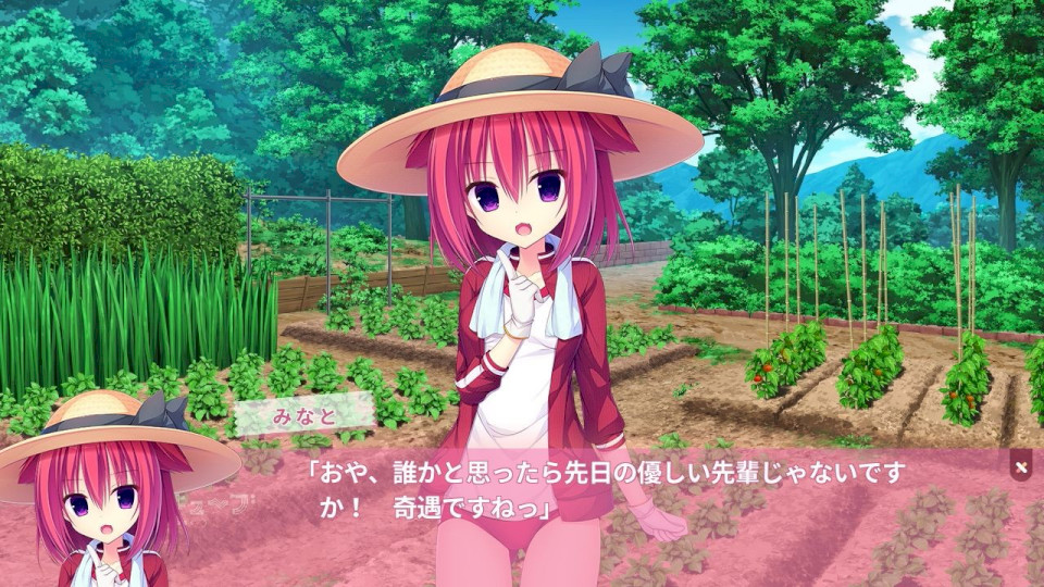 树莓立方体 ラズベリーキューブ[PC][Tyranor][汉化]-Thvse免费资源站